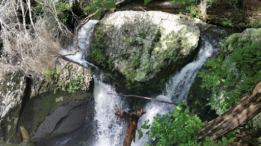 Hiking Area «Pocono Environmental Education Center», reviews and photos, 538 Emery Rd, Dingmans Ferry, PA 18328, USA