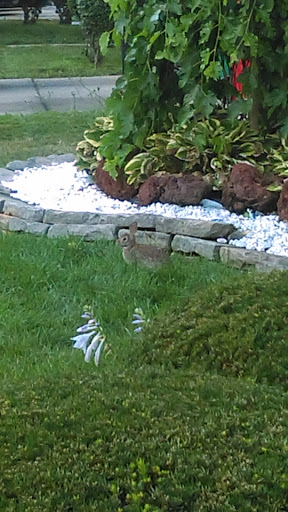 Park «Eastpointe Spindler Park», reviews and photos, 19400 Stephens Rd, Eastpointe, MI 48021, USA