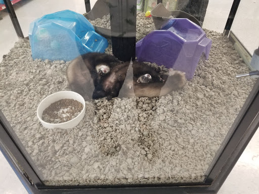 Pet Supply Store «Petco Animal Supplies», reviews and photos, 845 N Dobson Rd, Mesa, AZ 85201, USA