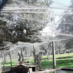 Photo n°19 de l'avis de Patrizia.r fait le 07/02/2021 à 09:18 sur le  La Fattoria di Valentino à Frattocchie