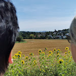 Photo n°4 de l'avis de Oli.k fait le 21/08/2021 à 12:16 sur le  Meisterturm à Hofheim