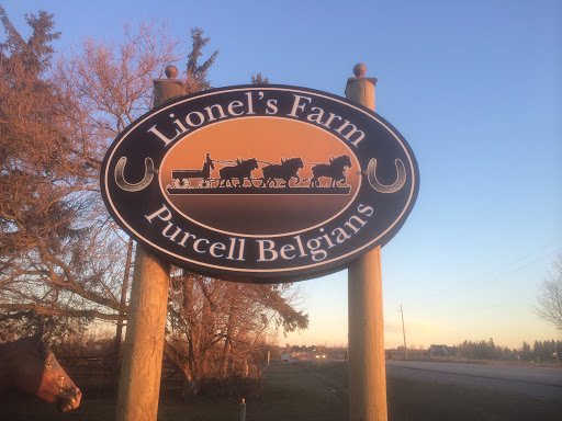 Lionels Farm