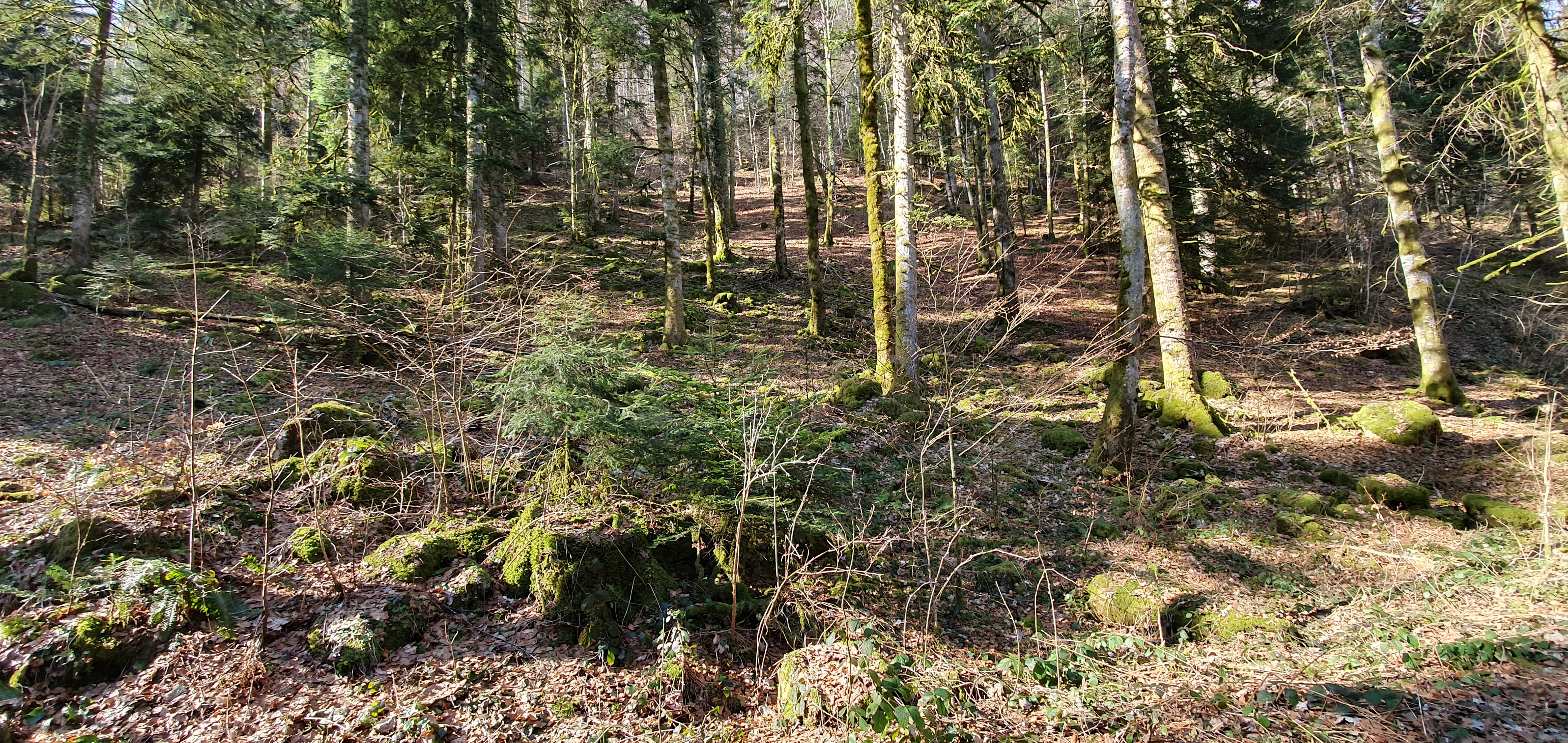 Photo n° 6 de l'avis de Fred.O fait le 31/03/2019 à 15:00