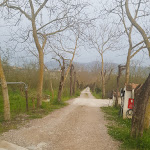 Photo n°1 de l'avis de Hanspeter.� fait le 20/03/2023 à 19:39 sur le  Villa Rizzo Resort Spa à San Cipriano Picentino