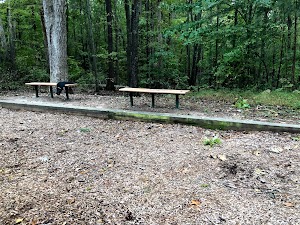 Cedar Falls Park - photo 67