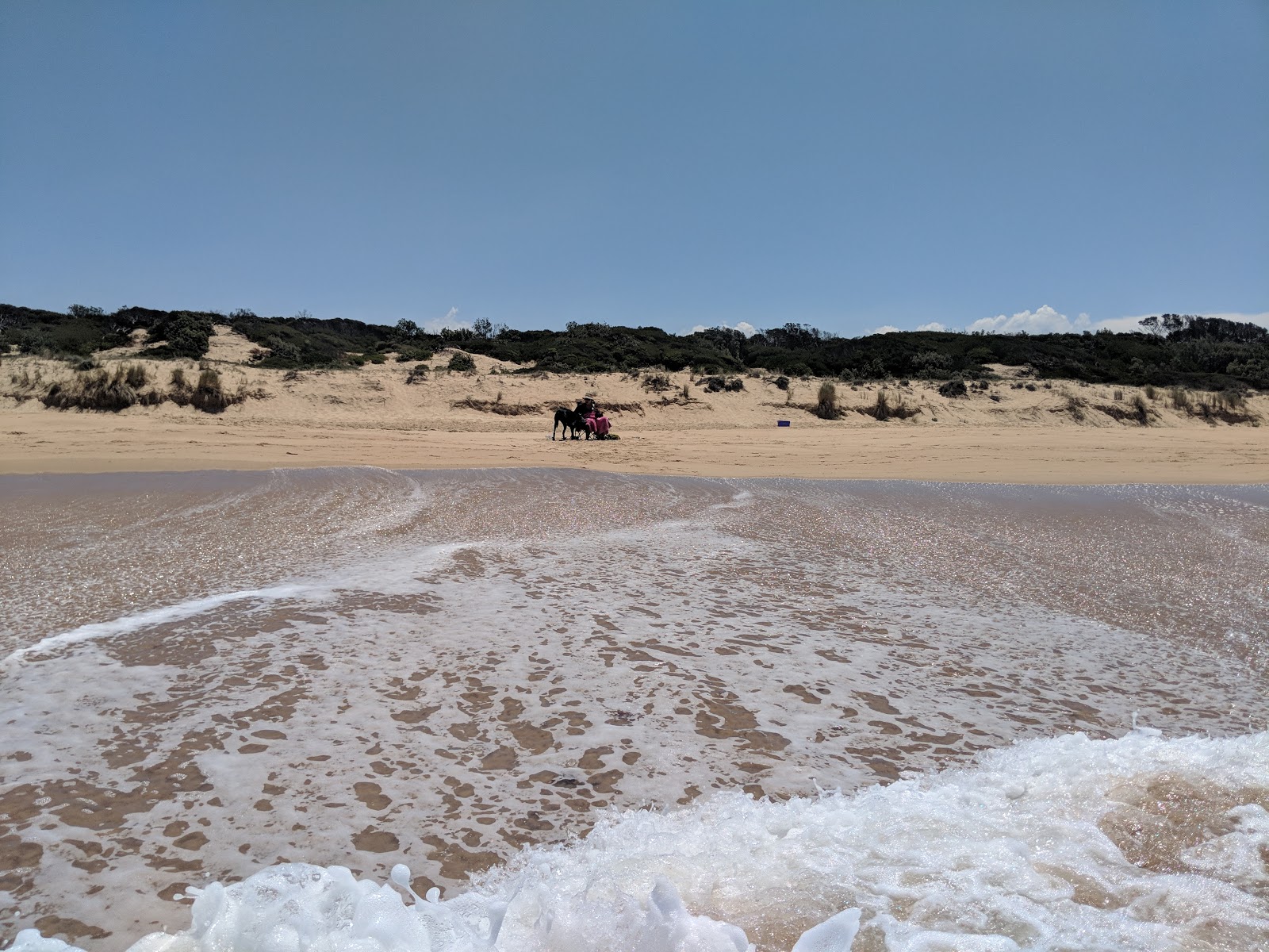 Ninety Mile Beach photo #8