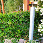 Photo n°1 de l'avis de Irene.i fait le 08/07/2021 à 18:37 sur le  Gasthof Zur Linde à Diemelsee