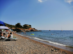 Spiaggia di Reale - Porto Azzurro'in fotoğrafı - rahatlamayı sevenler arasında popüler bir yer