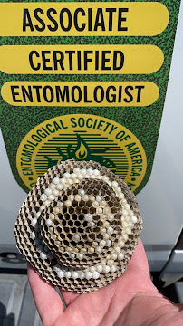 Cornerstone Pest Management - Photo 5 - Car repair in Modesto, CA, Modesto