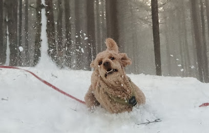 Grefsenkollveien hundepark