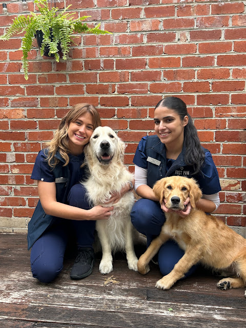 First Paw Mobile Vet