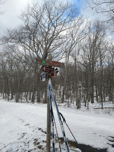 Ski Resort «High Point Cross Country Ski Center», reviews and photos, 1480 NJ-23, Sussex, NJ 07461, USA