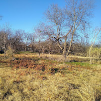 Property Relief LLC - Photo 7 - Car repair in , San Antonio