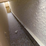 Photo n°1 de l'avis de Matthias.r fait le 19/05/2023 à 15:34 sur le  Hotel am Stadtwald Stralsund à Stralsund