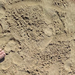 Photo n°1 de l'avis de giampaolo.c fait le 12/08/2023 à 17:56 sur le  La Conca Hotel à Marina di Pescoluse