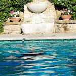 Photo n°7 de l'avis de Bwill.u fait le 13/07/2018 à 00:54 sur le  Hotel Villa Olmi Firenze à Florence