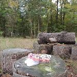 Photo n° 1 de l'avis de F.� fait le 21/10/2022 à 19:47 pour Ambiance Créative à Reignac-sur-Indre