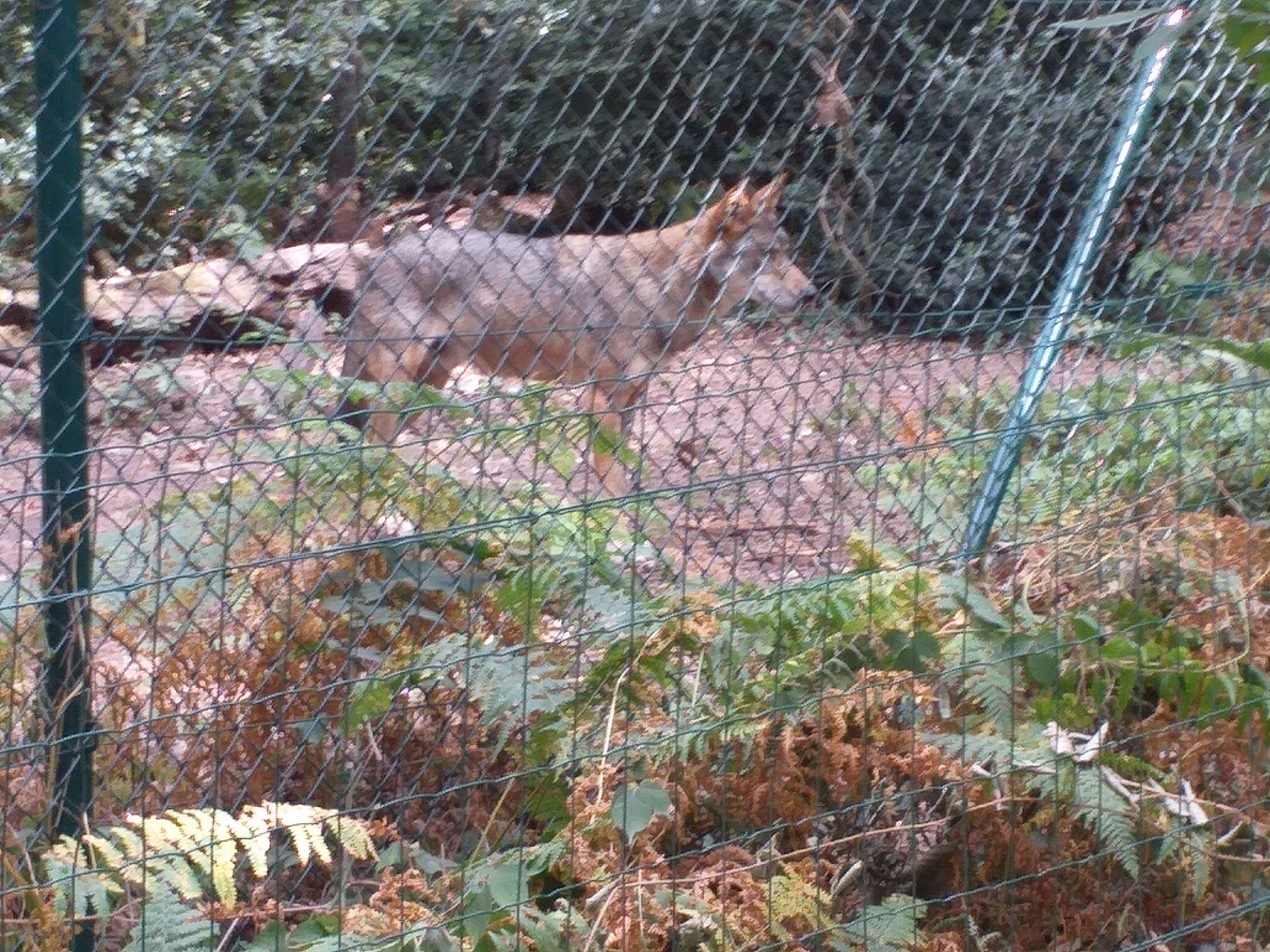 Photo n° 2 de l'avis de Jeannine.e fait le 12/08/2020 à 17:04