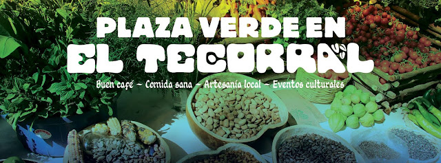 El Tecorral Casa Comunitaria