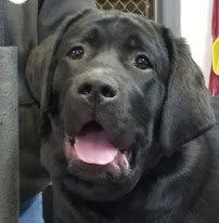 Armitage's Auto Service and Sales - Photo 2 - Car repair in York, PA, York