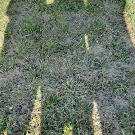 Photo n°6 de l'avis de Birgit.i fait le 20/10/2021 à 18:47 sur le  BASTENHAUS Hotel & Restaurant à Dannenfels