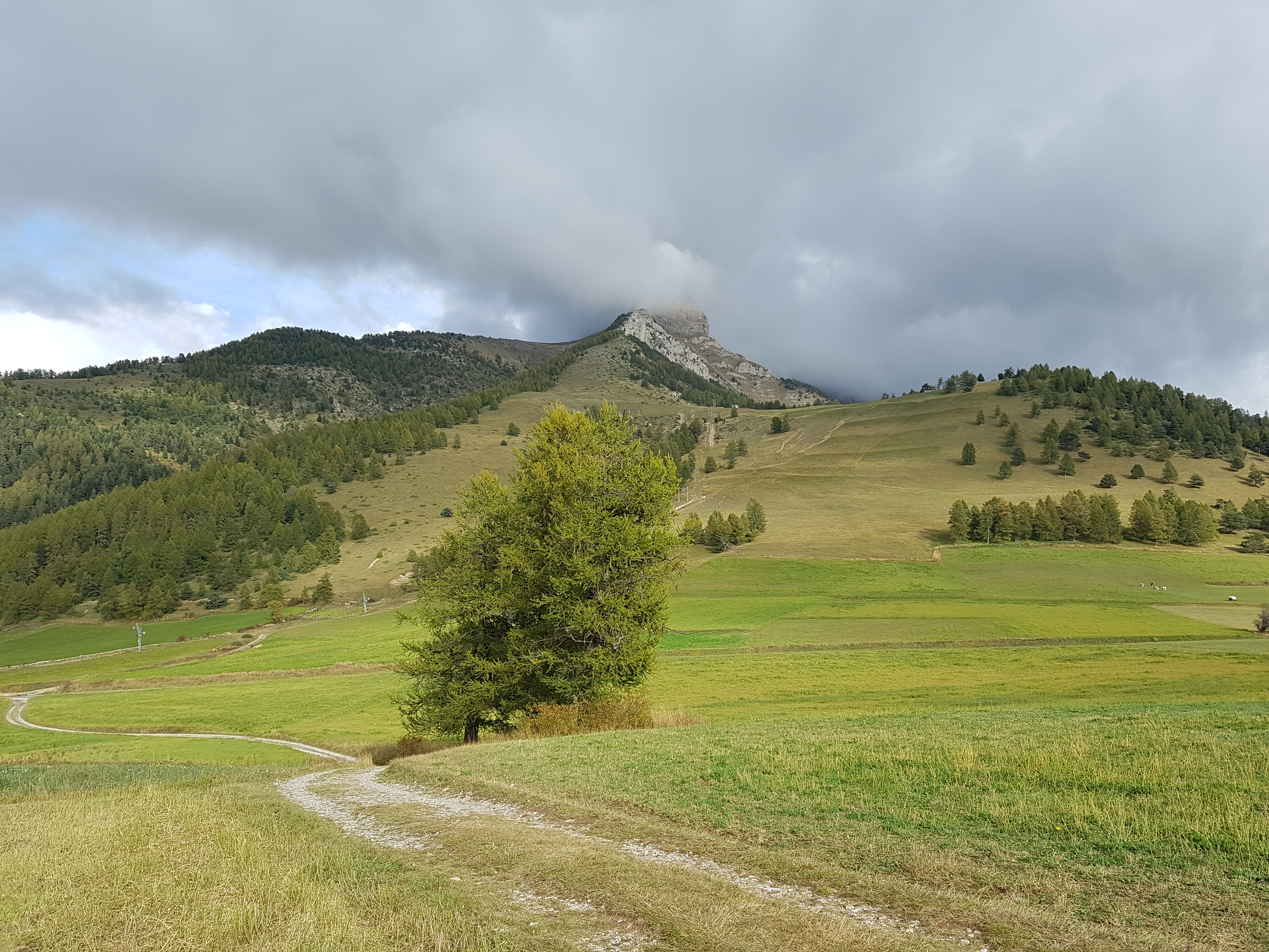 Photo n° 8 de l'avis de Siegfried.c fait le 14/10/2018 à 18:23