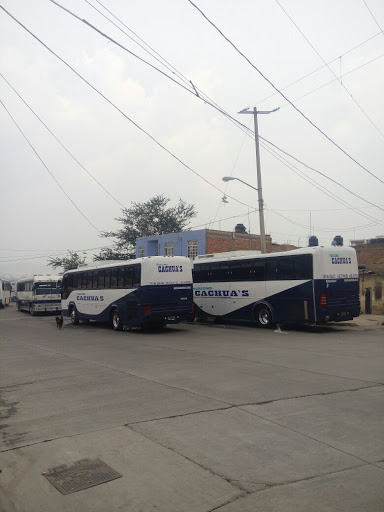 Turísmo Cachua's Renta de Autobuses