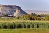 Reserva De Chaviña Logo, Peru, Tourist Attraction