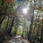 Photo n°2 de l'avis de Annamaria. fait le 03/11/2022 à 14:31 sur le  Alpe Camaggiore à Vendrogno