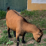 Photo n°7 de l'avis de Anita.h fait le 31/10/2022 à 21:02 sur le  Monte da Boa Vista - Descanso Perfeito à Portel