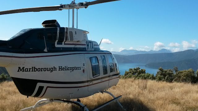 Marlborough Helicopters
