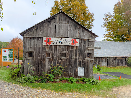 Outdoor Sports Store «Maple Hill Disc Golf», reviews and photos, 132 Marshall St, Leicester, MA 01524, USA