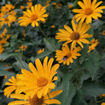 Photo n°13 de l'avis de Dirk.a fait le 02/08/2021 à 10:32 sur le  Gut Hohen Luckow à Satow