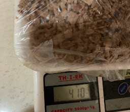 TAQUERIA EL MEXICANO photo