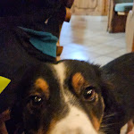 Photo n°1 de l'avis de Alexander.. fait le 25/10/2023 à 21:01 sur le  Landhotel & Restaurant Wiesenhof à Heroldstatt