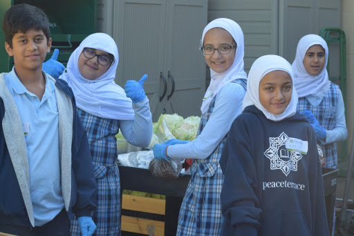 Non-Profit Organization «Tri-City Volunteers», reviews and photos