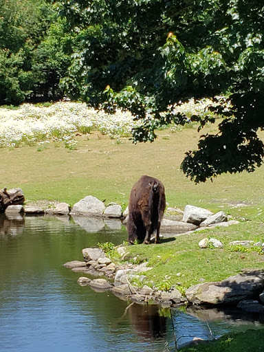 Zoo «Buttonwood Park Zoo», reviews and photos, 425 Hawthorn St, New Bedford, MA 02740, USA