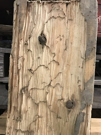 MightyMite Termite Services - Photo 7 - Car repair in Campbell, CA, San Jose