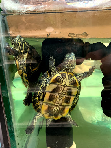 Pet Supply Store «Petco Animal Supplies», reviews and photos, 3860 Elmore Avenue, Davenport, IA 52807, USA