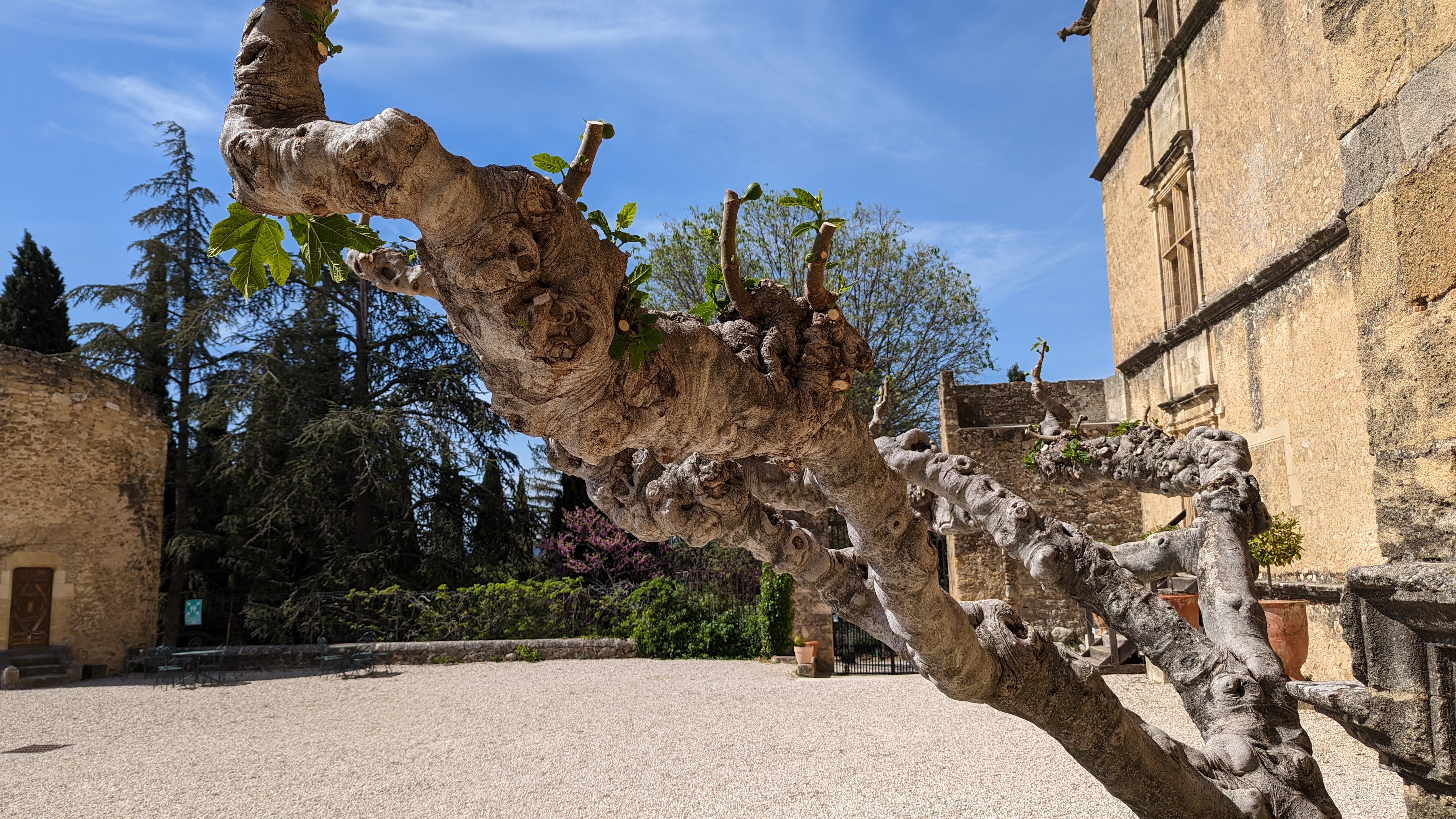 Photo n° 4 de l'avis de Paulo.i fait le 23/04/2023 à 11:39