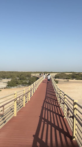 متنزَّه المانجروف البيئي