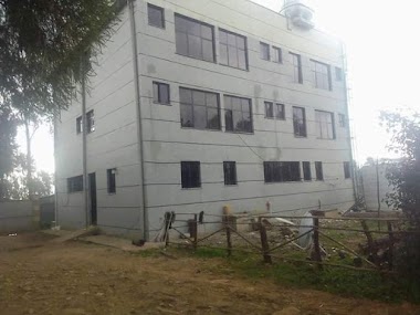 Geresu Habib Penision