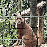 Photo n°5 de l'avis de Giovanni.o fait le 12/08/2019 à 13:15 sur le  Parc Gallorose à Loc. Cedrino