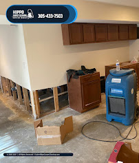 Hippo Carpet Cleaning Cutler Ridge - Photo 6 - Car repair in , Brooklyn