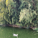 Photo n°1 de l'avis de Gigi.n fait le 19/03/2023 à 13:44 sur le  Locanda I Calòseni - Ristorante con piscina à Caldiero