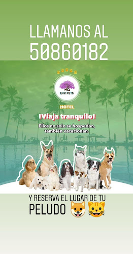 Hospital Veterinario EVR PETS