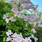 Photo n°11 de l'avis de Renata.e fait le 11/09/2021 à 17:56 sur le  Hotel Torre Santamaria Resort à Mattinata