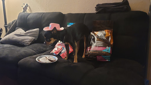 Pet Supply Store «Petco Animal Supplies», reviews and photos, 4030 N MacArthur Blvd #200, Irving, TX 75038, USA