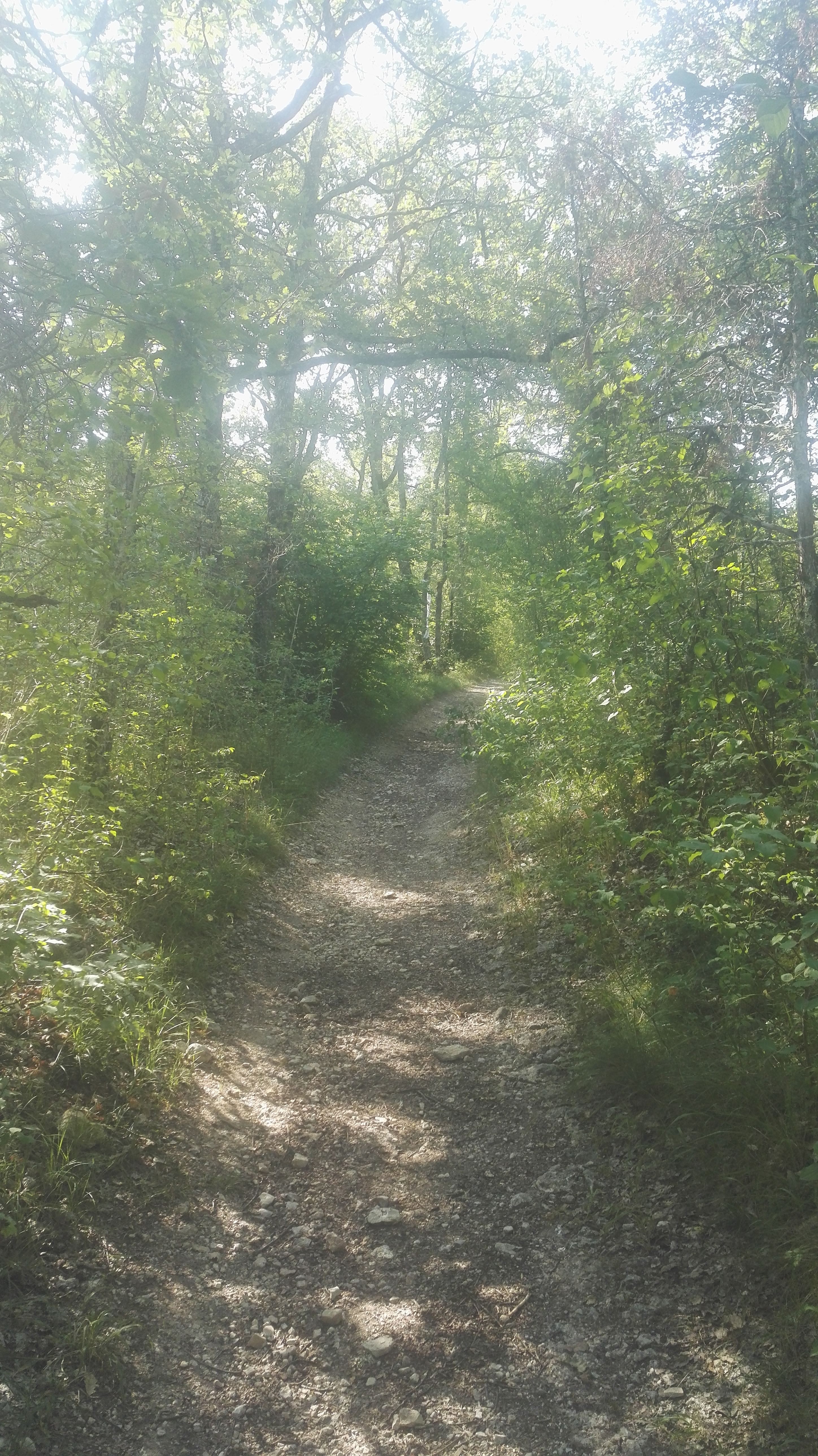 Photo n° 16 de l'avis de Elie.d fait le 15/07/2019 à 19:32