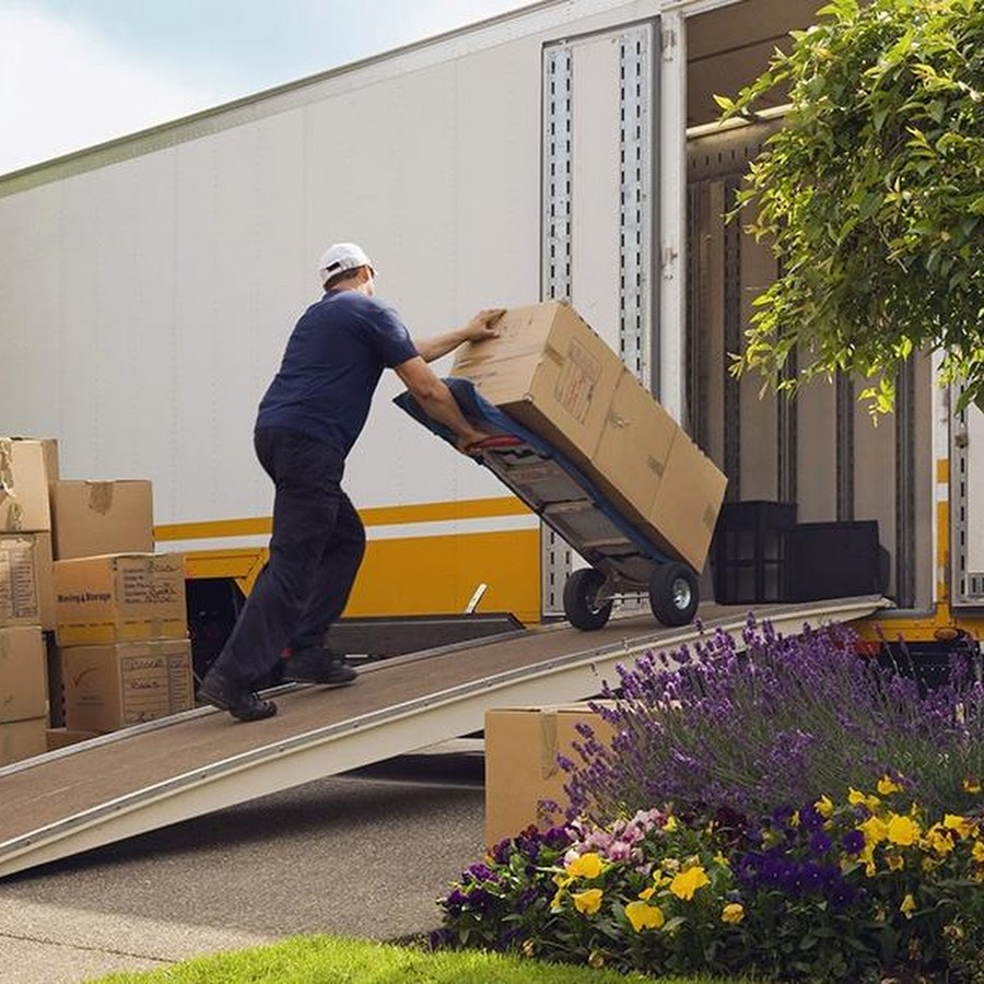 Economy Movers and Storage reviews